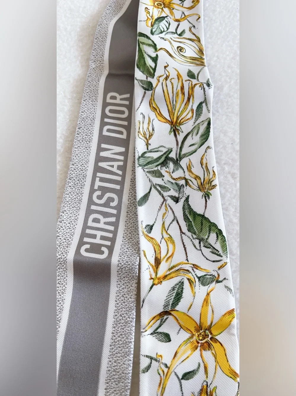 Dior authentic brand